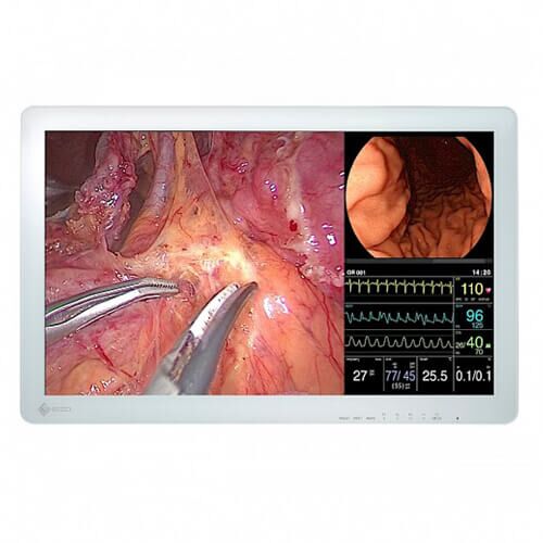 Eizo CuratOR EX2621