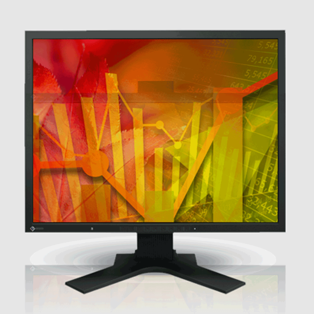 Eizo FlexScan S2133 Monitor