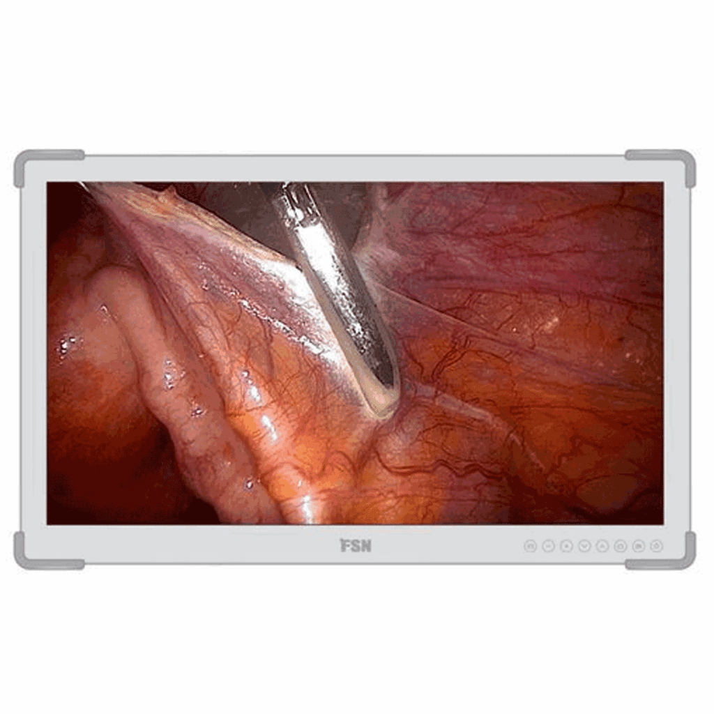 FSN FM-E3203D Surgical Monitor - FME303D
