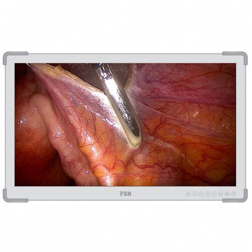 FSN FM-E3203DG 32” 4K