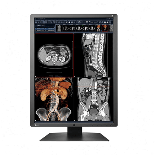 Eizo RX250