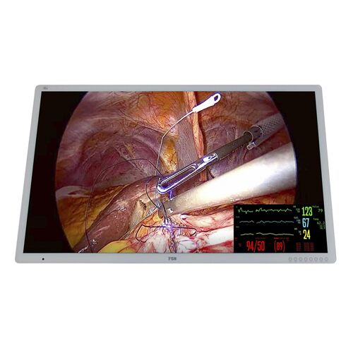 FSN FM-C5501DG 55" 4K Surgical Display