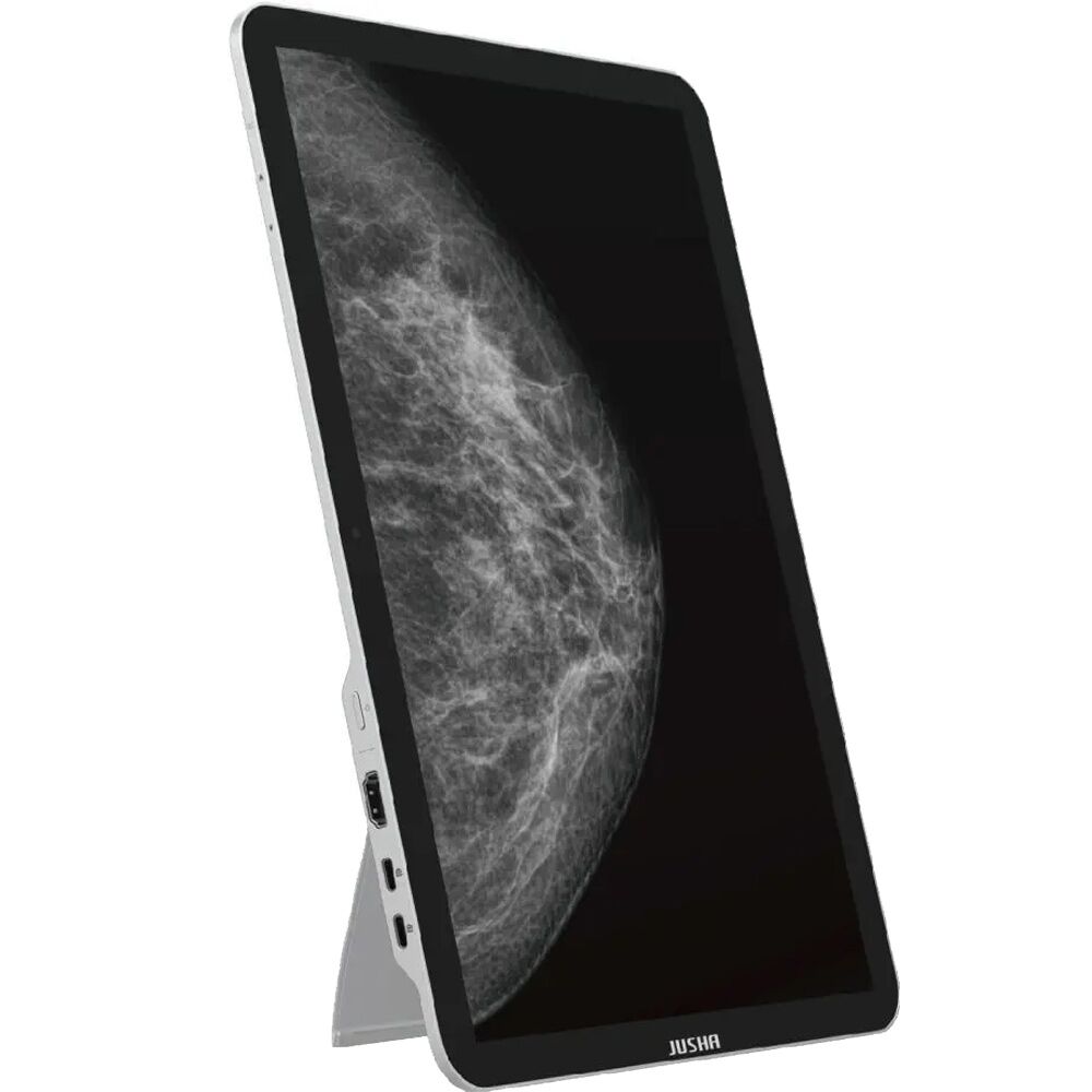 Jusha CP620 13.5" 6MP Portable Diagnostic Medical Display